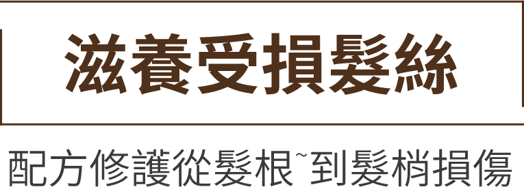 滋養受損髮絲 配方修護從髮根~到髮梢損傷