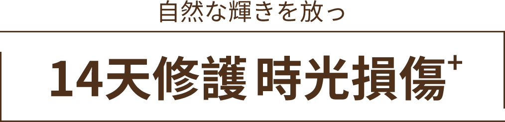 14天修護 時光損傷+