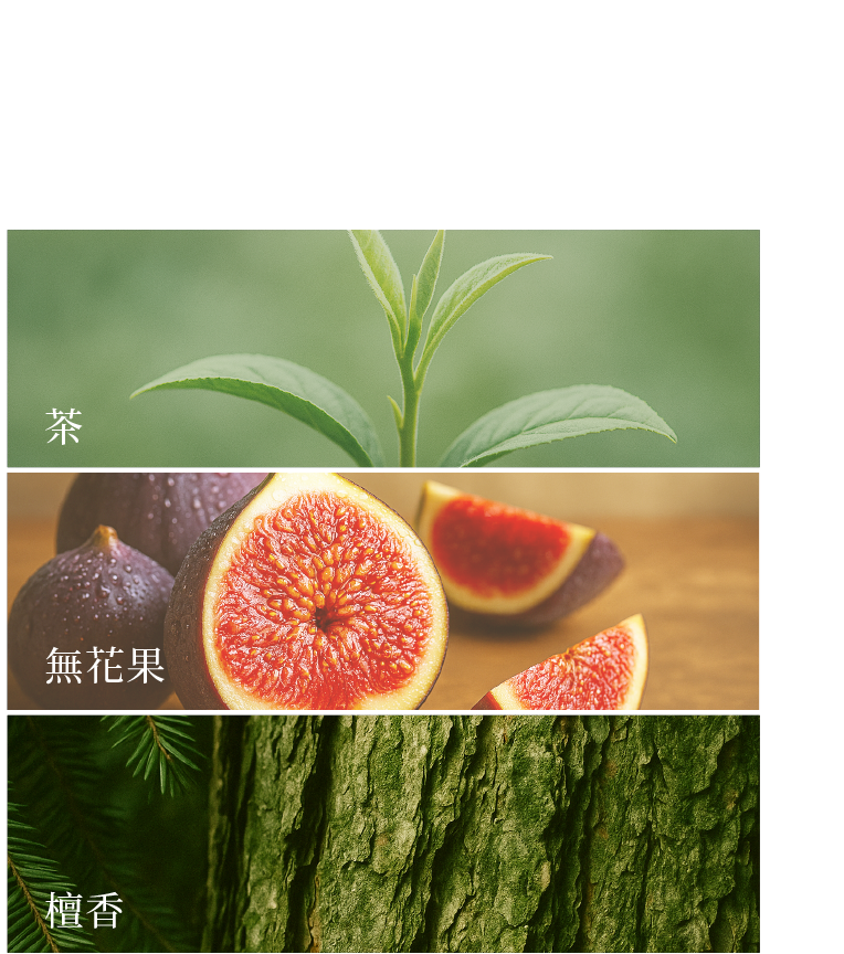 日本調香師臻選-輕甜木質奶香