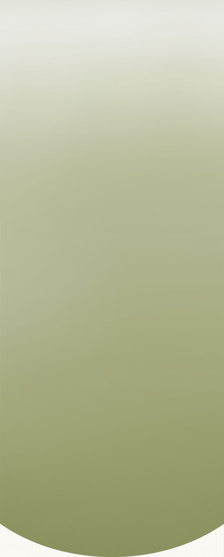 橘色背景色塊 手機版